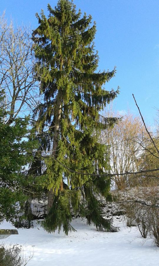 Au Grand Sapin Chambres Chez L'Habitant Henonville Exterior photo